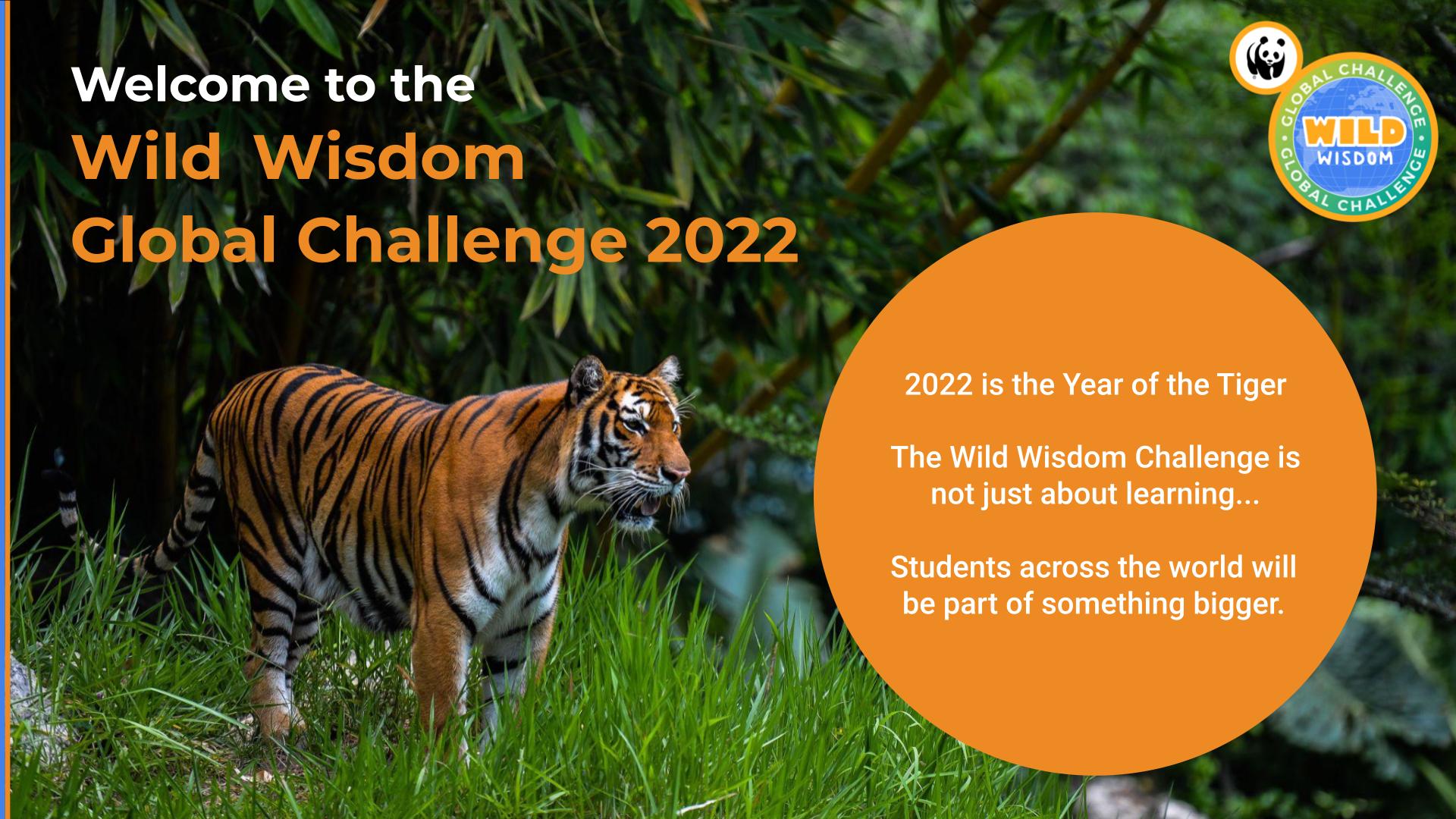 Wild wisdom challenge