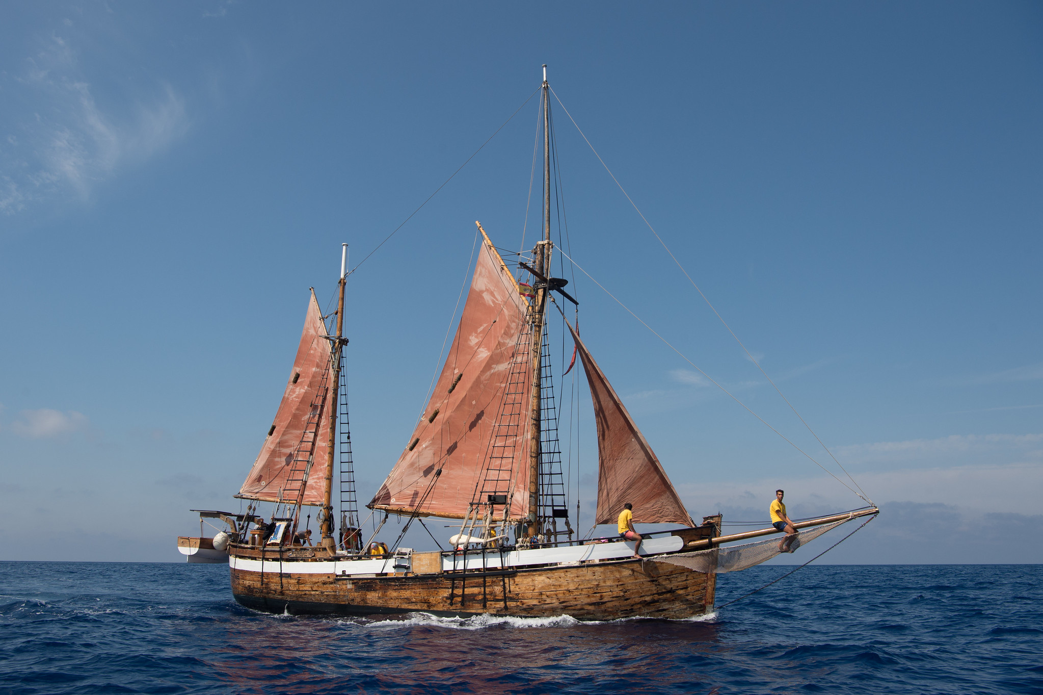 Save the Med