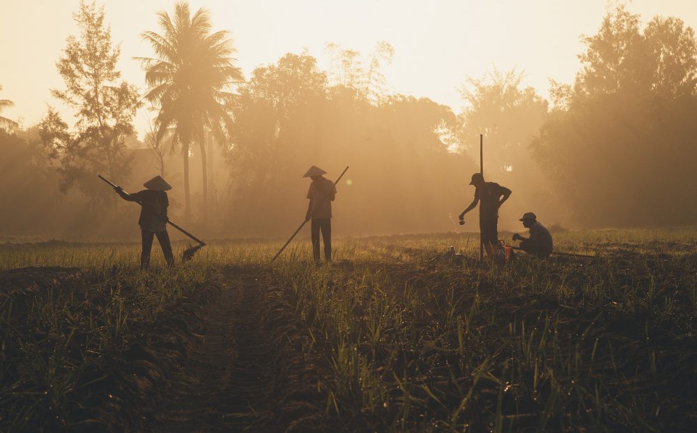 May 2021 Farmers