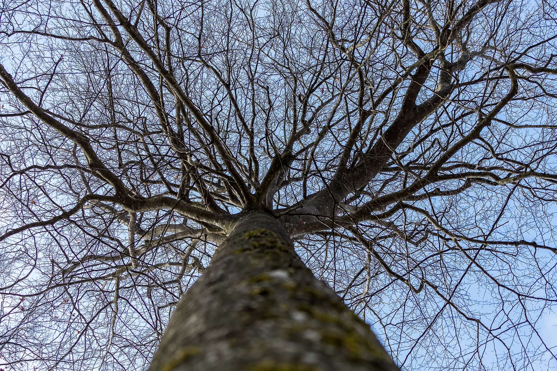 Creative connections